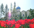 Казань утонет в цветах