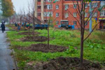 Завтра в Казани посадят почти 2000 деревьев