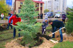 Завтра в Казани посадят более 2000 деревьев